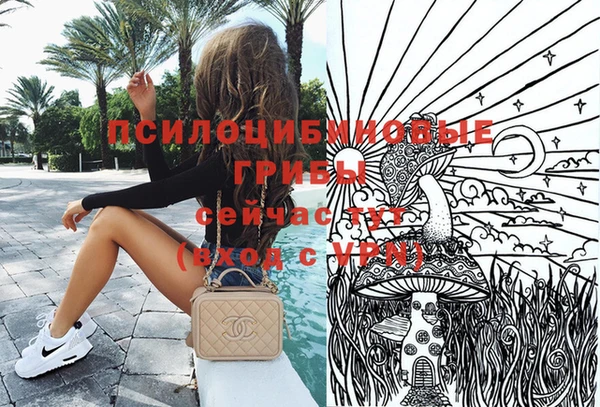 СК Арсеньев